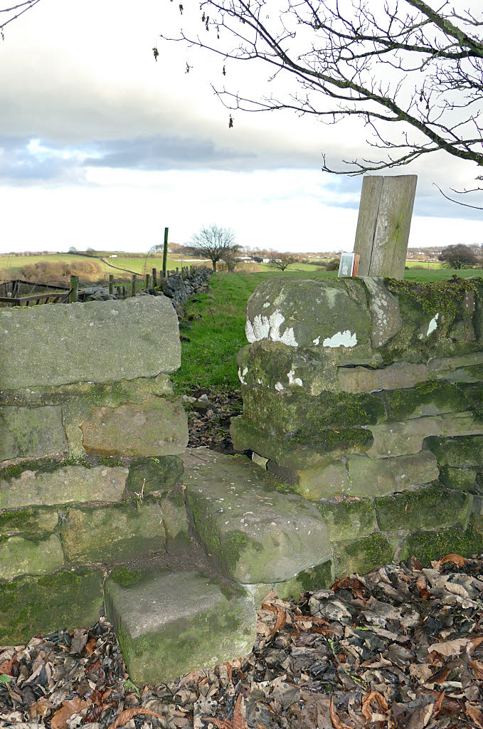 The magic begins: the stile (what's this type called?) from Scotland Lane onto the footpath at the beginning of the walk from Yeadon Airport to Leeds.
