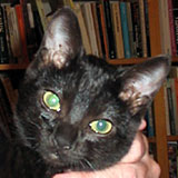 Violeta 